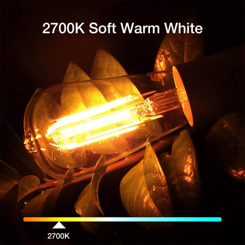 DAYBETTER Vintage LED Edison Bulbs 60 Watt Equivalent, ST58 Antique LED Filament Light Bulbs, Dimmable Led Bulb with E26 Medium Base, Warm White 2...