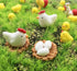 22Pcs Miniature Family Chicken,Cock,Hen,Egg,Chickens Nest Ornament Micro Landscape Fairy Garden Décor...