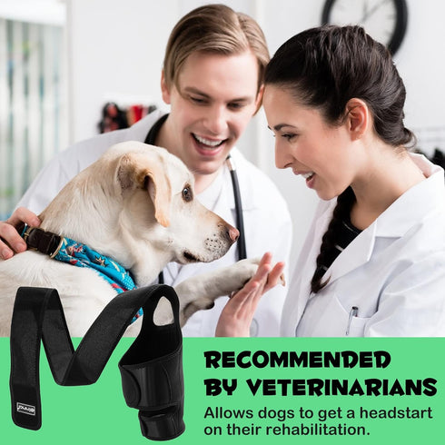 Dog Knee Brace for Support Cruciate Ligament Injury, Joint Pain And Muscle Sore, Dog Leg Brace for ACL Support, Reduces Pain and Inflammation, Adj...