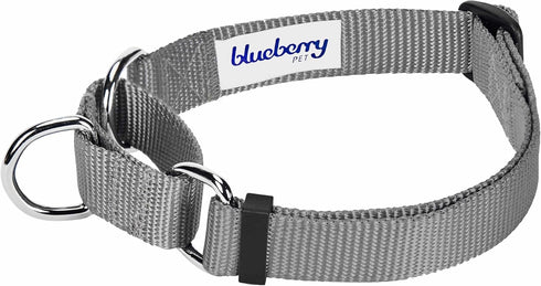 Blueberry Pet Essentials Matching Martingale Dog Collar and Leash Set in Flint Gray, Heavy Duty Nylon Adjustable Collars with 5 ft Leash for Mediu...