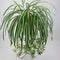 GWOKWAI 2Pcs Artificial Chlorophytum, 25.5in Faux Plant Hanging Basket Simulation Ivy Green Leaves Fake Wall Hanging Plants for Home Garden Office...