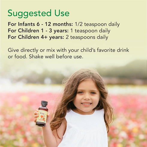 CHILDLIFE ESSENTIALS Liquid Zinc Plus for Kids & Toddler - Liquid Supplement Drops, Zinc Gluconate & Copper for Immune Support - Mango Strawberry,...