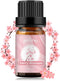 yethious Cherry Blossom Essential Oils for Diffuser & Aromatherapy Pure Cherry Blossom Oil - 10ML...