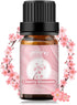 yethious Cherry Blossom Essential Oils for Diffuser & Aromatherapy Pure Cherry Blossom Oil - 10ML...