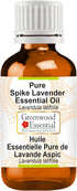 Pure Spike Lavender Essential Oil (Lavandula latifolia) Steam Distilled 15ml (0.50 oz)...