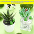50 Pcs Mini Frog Garden Decor | Green Frog Figurines | Miniature Home Décor | Tiny Plastic Frogs | Fairy Garden Decor...