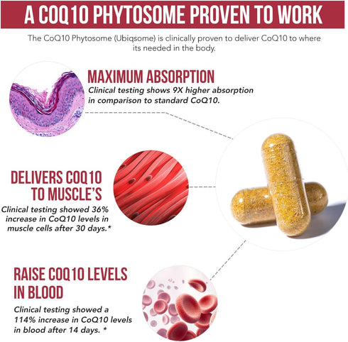 SoActive CoQ10® 250 mg: CoQ10 Phytosome with up to 9X Higher Absorption - Proven Cellular Delivery - Supports Cellular Energy Production (60 Capsu...