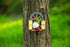 Gnome Tree Hugger Garden Gnome Statue 5.8 inches Elf Out The Door Tree Hugger, Garden Peeker Art Décor for Tree Trunk Fence Yard Garden Sculptures...