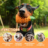 Indestructible Dog chew Toys: Puppy Toys with Pineapple Flavored - Pineapple Dog Toys for Aggressive Chewers Medium Breed....