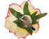 Beautiful Rose Flower Hair Clip Pin up Flower Brooch For Party Travel Festivals (Pink) (Pack of 1)...
