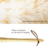Lambs Wool Duster for Cleaning Window Blinds Computer Furniture TV Computer Screens Bookshelves Solid Wooden Handle Natural Feather Duster,16'', Y...