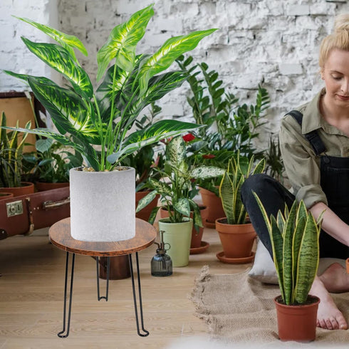 Wooden Plant Stand, Indoor Modern Wood Plant Riser Decorative Corner 7.8" Round Plant Stool Planter Short Stand Flower Pot Holder for Home Garden ...
