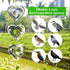 Bird Scare Discs Set, Highly Reflective Bird Reflectors Wind Spinner, Double-Sided Heart Decor Bird Devices Deterrent to Scare Birds Away from Yar...