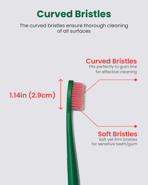 Euthymol Toothbrush (Regular, 6 Count) - Standard-Sized, Curved Soft Bristles for Sensitive Teeth, Gums. Effective, Gentle Cleaning for Entire Fam...