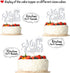Mis Quince 15 Cake Topper, Cheers to 15 Years, 15th Birthday Cake Decor, Happy 15th Birthday Decorations Silver Glitter...