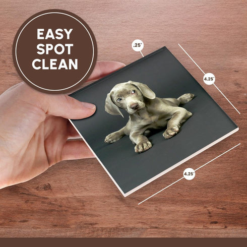 3drose Weimaraner Puppy Ceramic Tile Coaster, Set of 4...