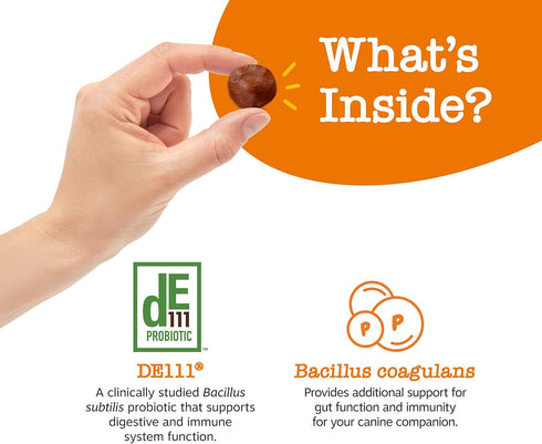 Zesty Paws Pill Wrap Probiotic Paste for Dogs - Immune & Digestive System Support - Bacon Flavor - with DE111 Bacillus subtilis - Pockets Any Pill...