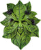 Top Collection Garden Blueberry Greenman Hanging Plaque...