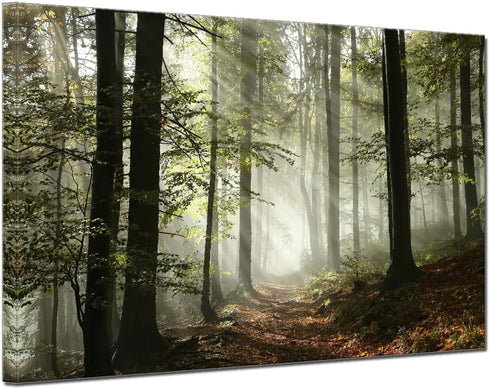 Forest Canvas Wall Art Trees Foggy Morning Spring Rustic Landscape for Bedroom Bathroom Decorations Modern Artwork Print Framed Painting Living Ro...