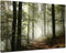 Forest Canvas Wall Art Trees Foggy Morning Spring Rustic Landscape for Bedroom Bathroom Decorations Modern Artwork Print Framed Painting Living Ro...