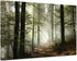 Forest Canvas Wall Art Trees Foggy Morning Spring Rustic Landscape for Bedroom Bathroom Decorations Modern Artwork Print Framed Painting Living Ro...