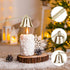 3 in 1 Candle Snuffer Long Handle Candle Extinguisher Candle Wick Trimmer Candle Cutter Candle Wick Dipper Kit - Gold...