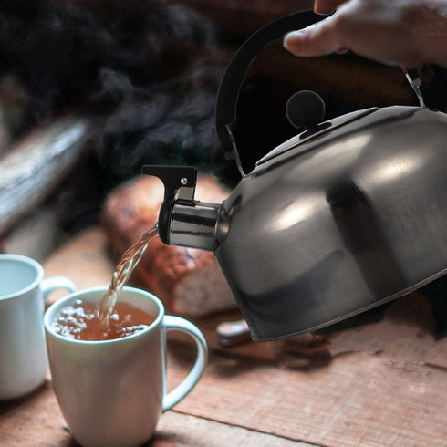 ABOOFAN Whistling Tea Kettle,Stainless Steel 2L Teapot Water Kettle Stovetop Hot Kettle Sound Teapot Hot Water Fast to Boil for Stove Top Silver...