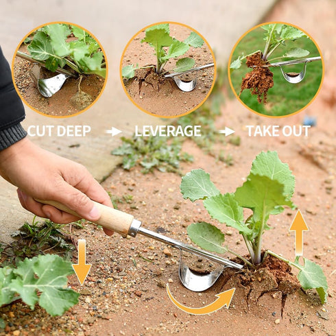 Hand Weeder Tool, Stainless Steel 2 Pcs Weeder Tool for Garden and Farm,Weeding Tool for Gardening,Garden Weeder, Weed Pulling Tool, Weed Puller T...