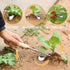 Hand Weeder Tool, Stainless Steel 2 Pcs Weeder Tool for Garden and Farm,Weeding Tool for Gardening,Garden Weeder, Weed Pulling Tool, Weed Puller T...