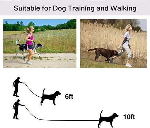 10ft Mint Blue Dog Leashes Long Line Training Dog Leash,for Large,Medium and Small Dogs,Long Dog Lead,for Training,Backyard,Camping,or Play,Great ...