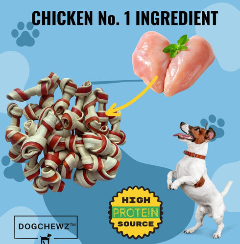 DOGCHEWZ™ Rawhide Free Knotted Bone Dog Chew Treats for Small & Puppy - Size 2.5 Inches (24 Count/Bag) - Chicken Flavored - Gluten Free...