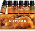 Autumn Fragrance Oil Set, Premium Fall Essential Oils for Diffuser and Candle Making - Pumpkin Spice, Cinnamon, Spiced Cider, Snickerdoodle, Autum...