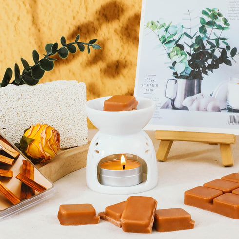 Wax Melts Wax Cubes Palo Santo Scented, 2.5oz Handmade Natural Soy Wax Cubes for Wax Warmer - Long Lasting Fragrance for Home, Ideal for Stress Re...