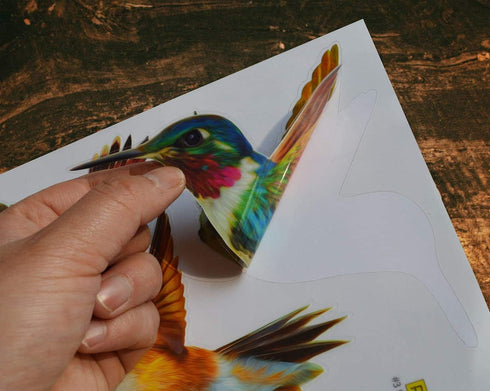 Anti-Collision Window Clings Bird Alert Collision Decals to Prevent Bird Strikes on Window Glass - Set of 12 Hummingbirds...