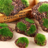 6Pcs Foam Moss Green Hay Stone DIY Family Garden Decoration Vase Glass Moss Miniature Landscape Artificial Plant...