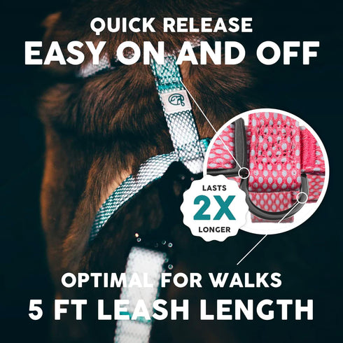 Embark Illuminate Reflective Dog Leash for Night Walking - 5 Ft Long and 3/4 Inch Width Dog Leash for Large Dogs, Made with Reflective Leash Mater...