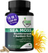 Sea Moss - Irish Sea Moss Capsules - Sea Moss, Black Seed Oil, Ashwagandha, Burdock Root & Bladderwrack (9000 mg) - Seamoss Pills Supplement for I...
