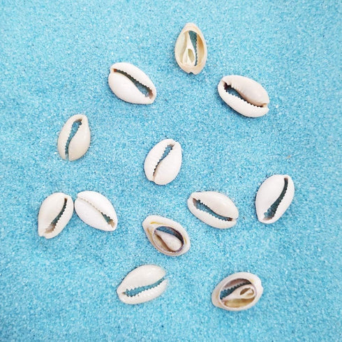 8 Ounces (160-220 Pieces) Natural Spiral Cowrie Shell Beads, Cut Sea Shell Connectors, White 0.7"-0.86" for Jewelry Making...