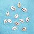 8 Ounces (160-220 Pieces) Natural Spiral Cowrie Shell Beads, Cut Sea Shell Connectors, White 0.7"-0.86" for Jewelry Making...