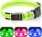 Light Up Dog Collars - Rechargeable LED Dog Collar - Reflective Pet Collar - Adjustable Lighted Dog Collar for Medium Dogs (Green, Medium Collar)...