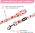 azuza 3 Pack Fruit Design Nylon Dog Leashes Strong & Durable Basic Dog Leash with Easy to Use Collar Hook for Small Dogs, S (6FT,5/8")...