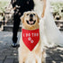 I Do Too Dog Bandana Engagement Wedding Dog Bandanas Wedding Engagement Announcement Photos Puppy Bandana Triangle Bibs Scarf Accessories for Smal...