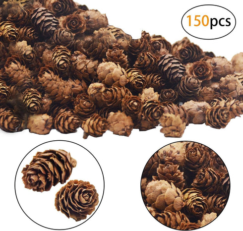 Deloky 150 Pcs Christmas Natural Mini Pine Cones- 2CM Thanksgiving Small Pinecones Ornaments Vase Fillers for DIY Crafts, Home Decorations, Fall a...