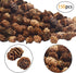 Deloky 150 Pcs Christmas Natural Mini Pine Cones- 2CM Thanksgiving Small Pinecones Ornaments Vase Fillers for DIY Crafts, Home Decorations, Fall a...