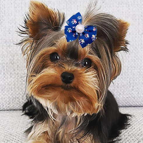 PET SHOW Bowknot Dog Hair Bows with French Barrette Clips Pet Puppies Yorkie Teddy Grooming Hair Accessories Pack of 10 (Paw Bone Printed)...