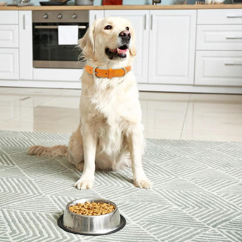 SUFEI Leather Soft Padded Dog Collar Breathable Adjustable Waterproof Tactical Pet Collar with Metal Buckle for Small Medium Dogs (S, Orange Blue)...