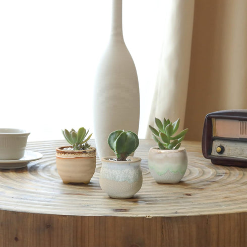 T4U Small Ceramic Succulent Pots with Drainage Set of 3, Mini Pots for Plants, Tiny Porcelain Planter, Air Plant Flower Pots Cactus Faux Plants Co...