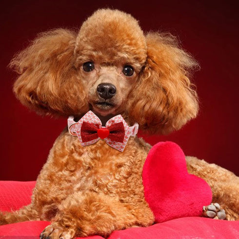 azuza Valentine's Day Dog Collar Removable Valentine Bowtie Dog Collar with Romantic Pink Sparkly Hearts Pattern Adjustable Spring Dog Collar Vale...