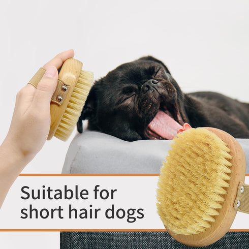 Soft Bristle Dog Brush for Short Haired Cats Dogs with Elastic Band, Natural Bristle Dog Palm Brush for Cats Dogs Brush...