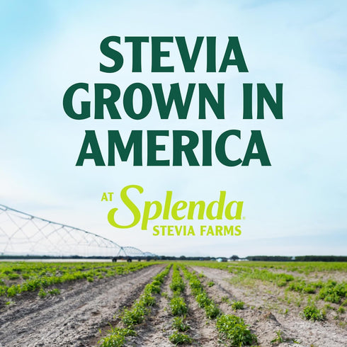 SPLENDA Stevia Zero Calorie Sweetener for Baking, Plant Based Sugar Substitute Granulated Powder, 9.7oz Resealable Pouch...